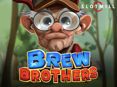 Превью игры Brew Brothers с пивоварней и хмельными бочками