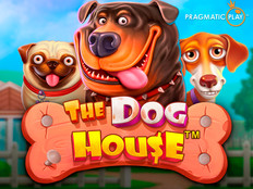 Превью игры The Dog House с милыми собачками и будкой в 3D стиле